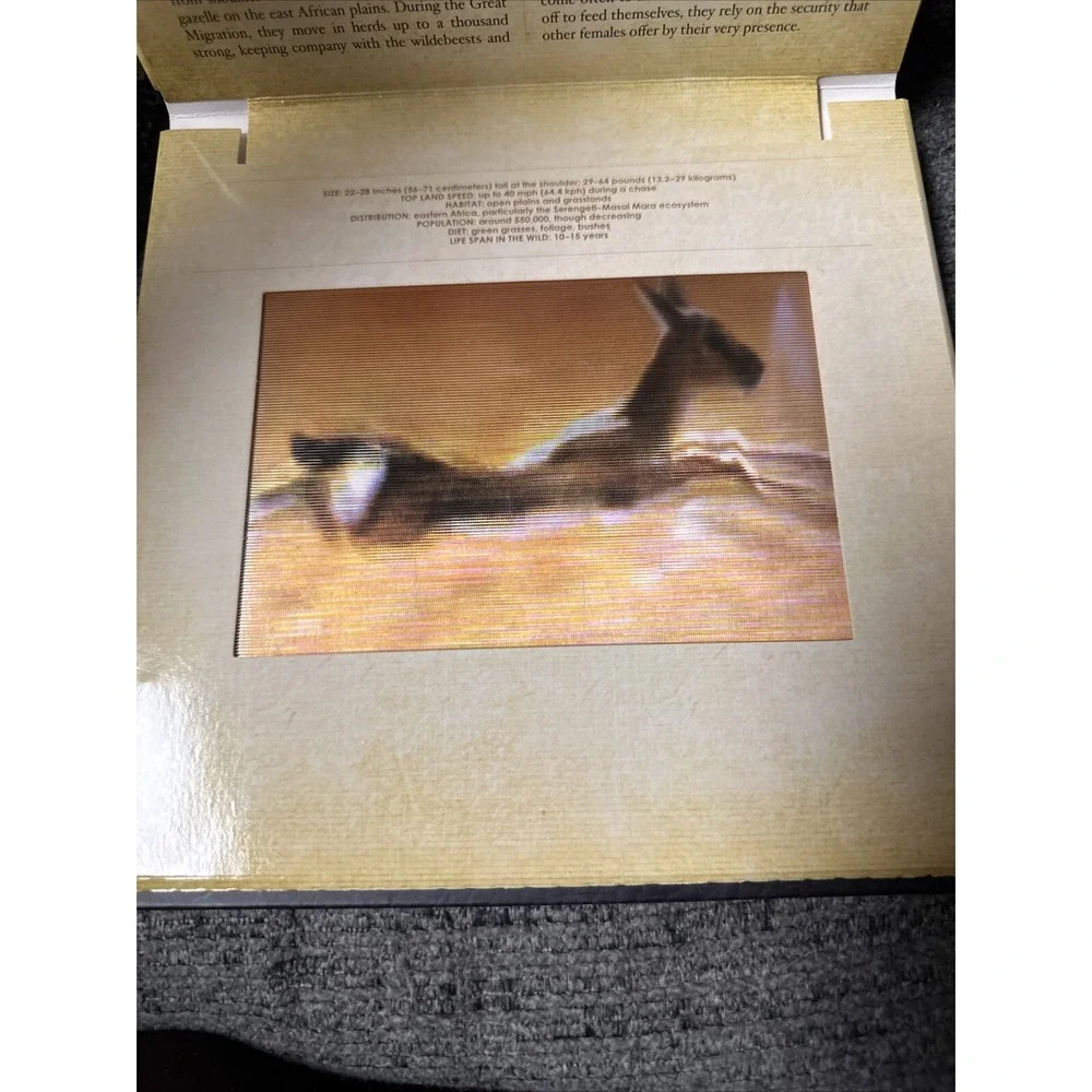 Polar/ Safari Photicular Book  Book Lot Holographic?